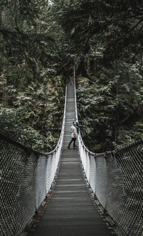 Lynn Canyon Suspension Bridge: The Most Complete Guide (by a Local)