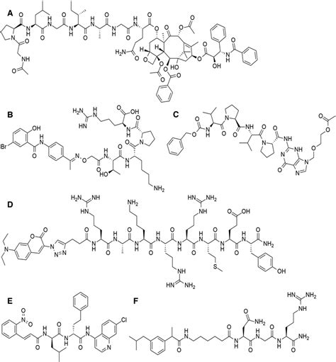 Some selected small organic drug molecules-peptide conjugates examples.... | Download Scientific ...