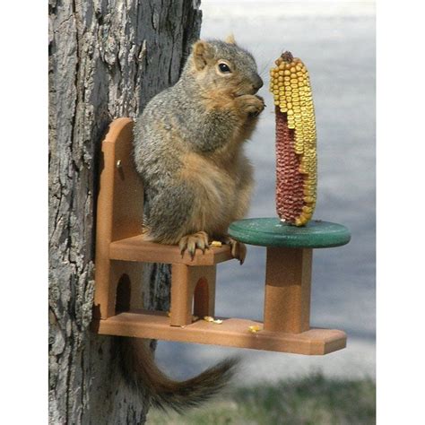 Songbird Essentials Recycled Poly Squirrel Table and Chair Feeder | from hayneedle.com ...