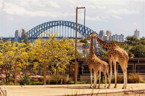 Taronga Zoo Sydney Australia - Taronga Zoo Tickets and Offer - JTR Holidays