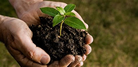 Class A biosolids and the future of biosolids management - CEOforLIFE - EN