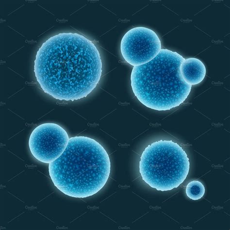 Set of cocci bacteria | Education Illustrations ~ Creative Market