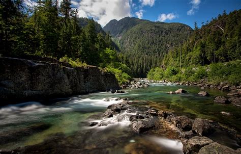 Wallpaper forest, mountains, river, Canada, Canada, British Columbia, British Columbia ...