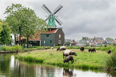 From Amsterdam: Guided Zaanse Schans & Cheese Tasting Tour | GetYourGuide