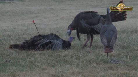 Unbelievable Turkey Hunting Video – One Very Angry Turkey Up Close ...