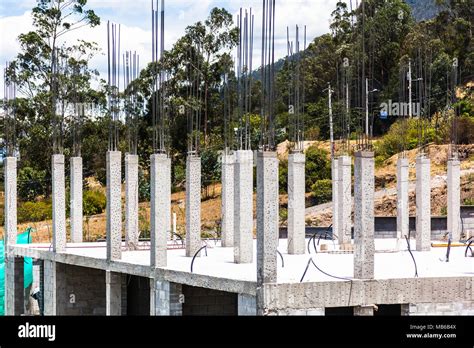 Reinforced concrete columns on first floor slab Stock Photo - Alamy