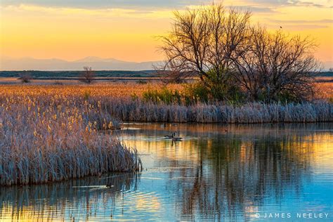 https://flic.kr/p/stthCh | Early Spring at Market Lake | It was a calm, crisp spring morning at ...