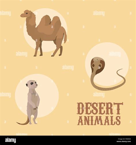 Desert animals cartoon Stock Vector Image & Art - Alamy