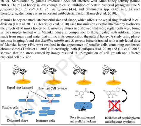 Schematic representation of the antimicrobial effects of honey Studies... | Download Scientific ...