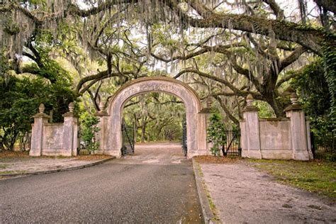 Wormsloe Historic Site Tours Georgia | Cumberland Palms