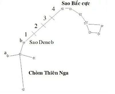 Tìm hiểu trên internet và sách báo để xác định sao Bắc Cực thông qua ...