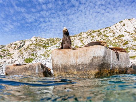 Cabo Pulmo National Park Travel Guide: Play + Stay | Sand In My Suitcase