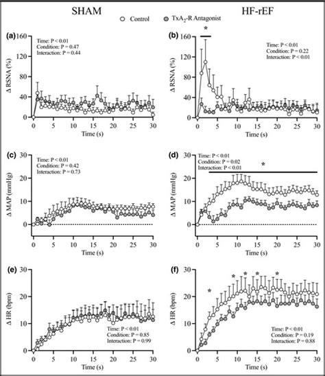 Thromboxane A2 receptors contribute to the exaggerated exercise pressor ...