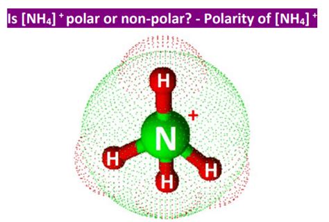 Is NH4+ Polar or Nonpolar? - Polarity of Ammonium ion