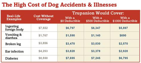 The cost of dog veterinary medicine chart | Dog insurance, Pet health ...