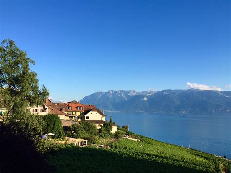 Lavaux Vineyard Terraces: A UNESCO World Heritage Site in Switzerland