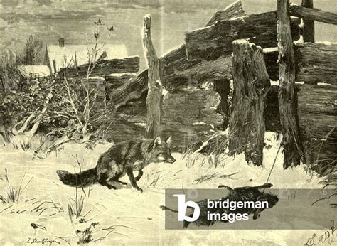 Fox Hunt Austria 1891 by