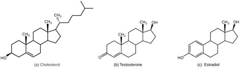 Lipid-Derived Hormones | Biology for Majors II