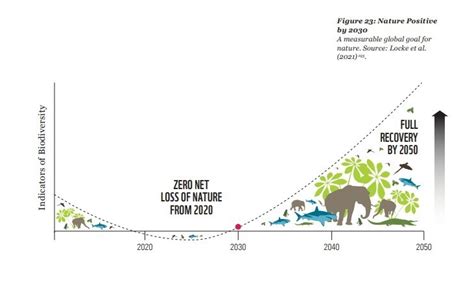 Six charts that show the state of global biodiversity loss | World ...