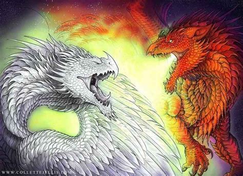 The Dragons of Dinas Emerys