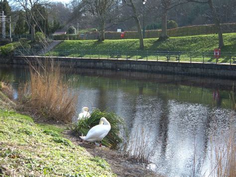 Riverside walk, Morpeth © michael ely :: Geograph Britain and Ireland