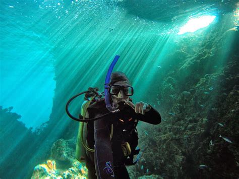 New Zealand • Scuba Diver Life