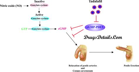 Tadalafil - Drugs Details