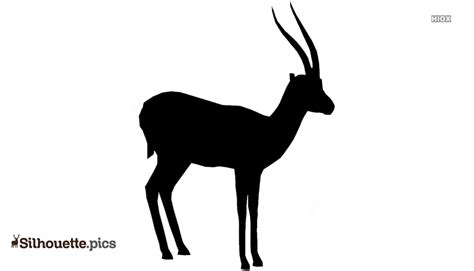 Gazelle Silhouette Running Icon, PNG, 512x512px, Gazelle, Black - Clip ...