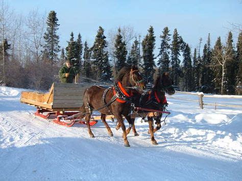 Take in a horse and sleigh ride while staying at Meridian Hotel 183 ...