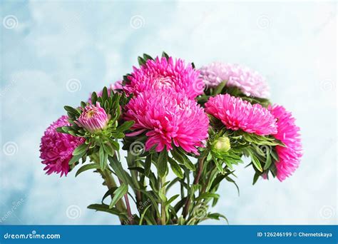 Beautiful Aster Flower Bouquet Stock Image - Image of autumnal, botany ...