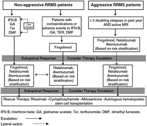 Treatment of multiple sclerosis in special populations: The case of refugees - Maya M Zeineddine ...