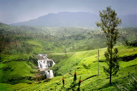 Eight local secrets you must experience in Sri Lanka - International Traveller