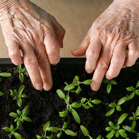 Sow a few seeds - Dementia Tip-Share