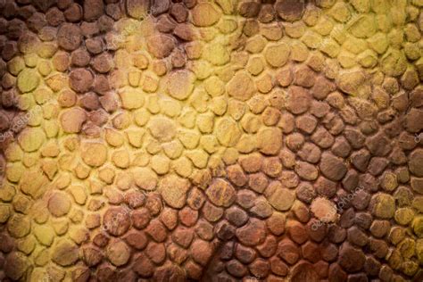 Orange Reptiles Dinosaur Skin texture background — Stock Photo © junce11 #129112986