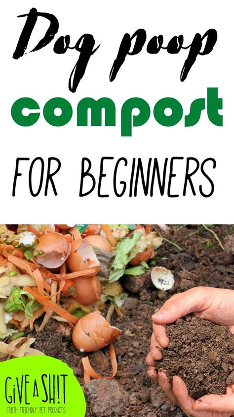 How To Compost Dog Poop In Your Balcony