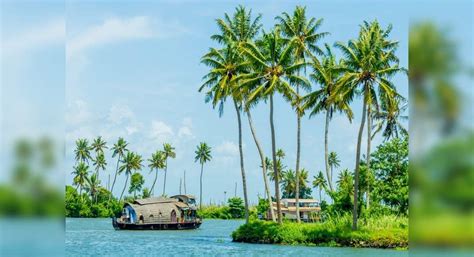 Stunning captures from Kerala, God's Own Country | Times of India Travel