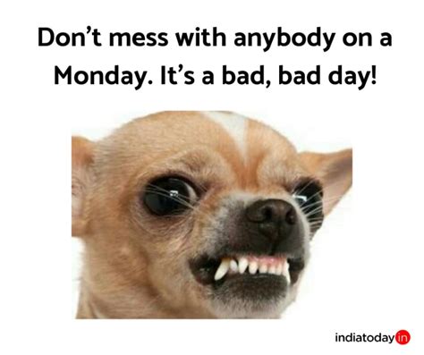 10 relatable memes about the Monday blues - India Today