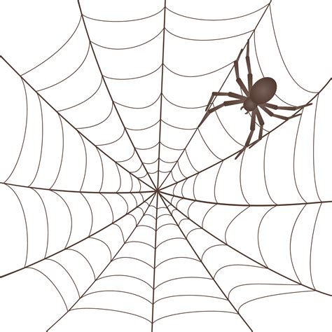 spider web.jpg (2400×2400) | Spider drawing, Spider web drawing, Spider web