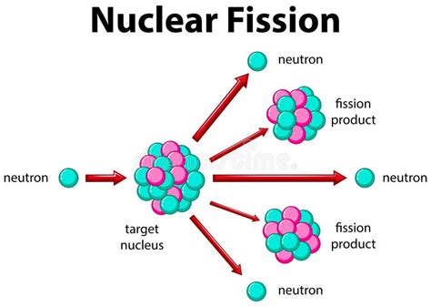 Diagram Showing Nuclear Fission Stock Vector - Illustration of diagram ...