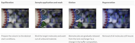 How does ion exchange chromatography resin work? - FAQ - Taiyuan ...