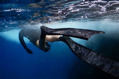 Freediving fins buying guide 2024