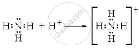 Ammonium Ion Lewis Dot Structure - slidesharetrick