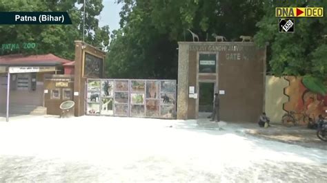 Patna zoo reopens for visitors