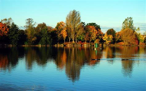 Ducks in Autumn, Needham Lake, Needham Market, Near Ipswic… | Flickr