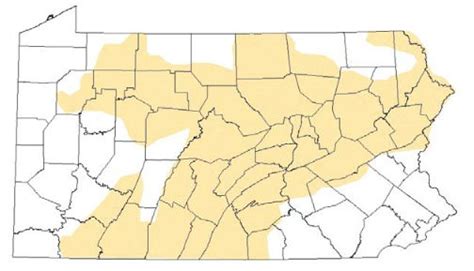 Timber rattlesnake resurgence sets up controversial Pennsylvania vote | lehighvalleylive.com