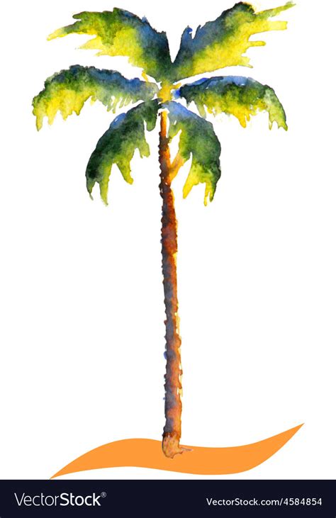 Watercolor Palm tree Royalty Free Vector Image