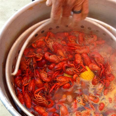 Mudbug Love: A Southern Louisiana Crawfish Boil Recipe | Ever In Transit