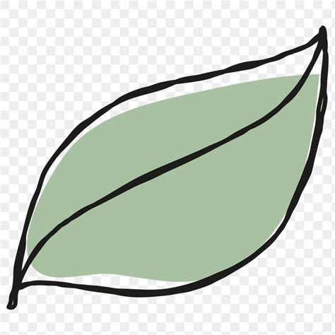 Green leaf transparent png clipart | free image by rawpixel.com / nunny ...