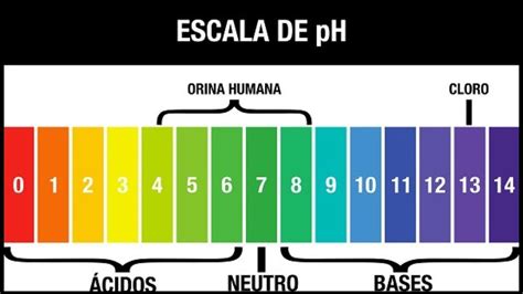 QUÉ ES EL pH Y CÓMO LO MEDIMOS (INDICADORES Y pH METROS) - YouTube