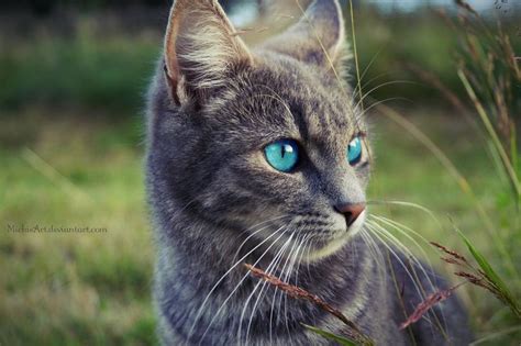 Ice blue eyes by MichisArt on deviantART | Cat with blue eyes, Cats ...